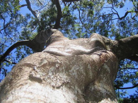 Arthur Riverfront & Sea Lodge Downstream - Accommodation Coffs Harbour 4