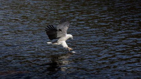 Arthur Riverfront & Sea Lodge Downstream - Accommodation Coffs Harbour 3
