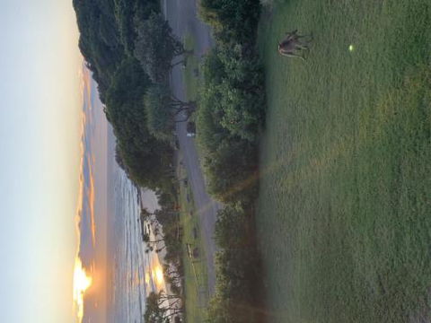 Acutterbove - Accommodation Coffs Harbour 6