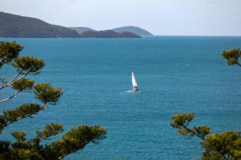 NEW Northcape 1 Ocean Front 2 Bedroom Choose Between 2 Properties - Accommodation Coffs Harbour 2