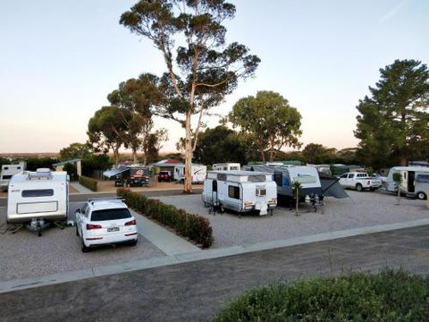 Murray Bridge Tourist Park - Accommodation Coffs Harbour 4