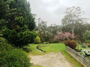Acacia House Retreat Daylesford - Accommodation Coffs Harbour 1
