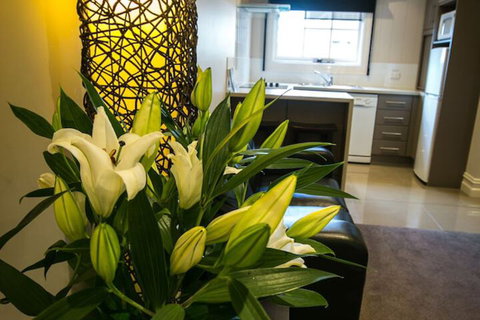 Gallery Apartments - Accommodation Coffs Harbour 6