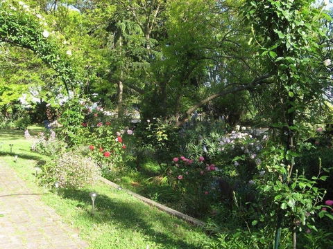 Westella Colonial B&B - Accommodation Coffs Harbour 6