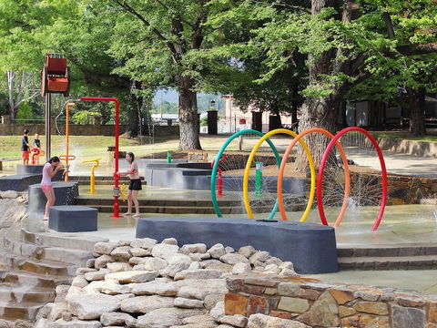 NRMA Bright Holiday Park - Accommodation Coffs Harbour 4