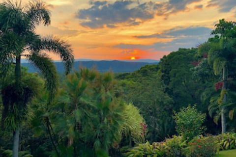 Daintree Manor Bed & Breakfast - Accommodation Coffs Harbour 0