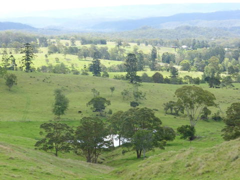 Anduramba Homestead B & B - Accommodation Coffs Harbour 4