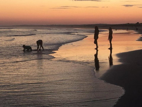 Cromarty Cottage 900m From Birubi Beach - Accommodation Coffs Harbour 6