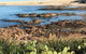 Cromarty Cottage 900m From Birubi Beach - thumb 4