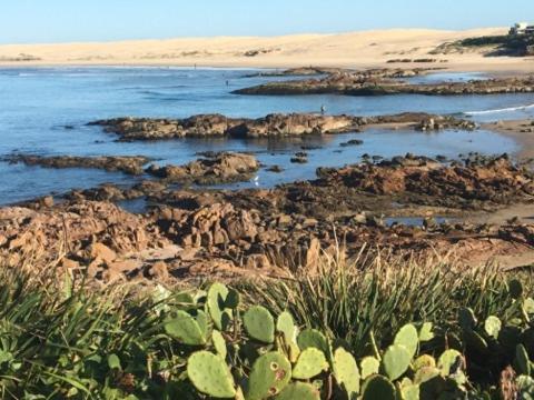 Cromarty Cottage 900m From Birubi Beach - Accommodation Coffs Harbour 4