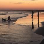 Cromarty Cottage 900m From Birubi Beach - Accommodation Coffs Harbour 0