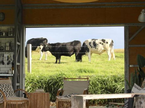 THE SHED Gerroa 4pm Checkout On Sundays & Public Holidays - Accommodation Coffs Harbour 6