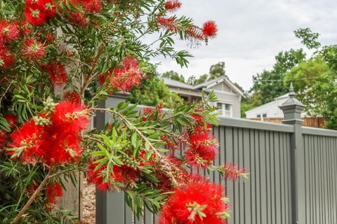 Vintage Charm On St. Leonards - Accommodation Coffs Harbour 5