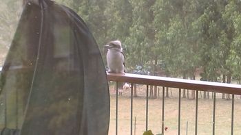 Deloraine Comfort - Accommodation Coffs Harbour 2