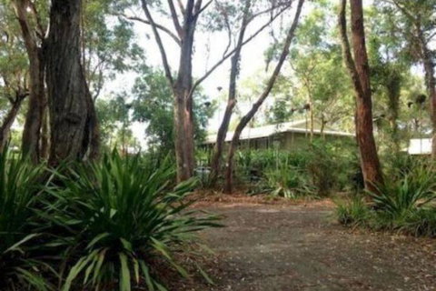 Port Stephens Koala Sanctuary - Accommodation Coffs Harbour 2