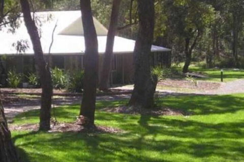 Port Stephens Koala Sanctuary - Accommodation Coffs Harbour 6