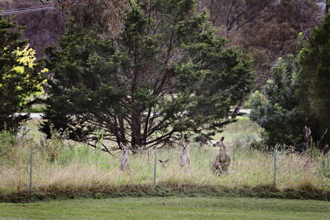 BATHURST GOLDFIELDS MOTEL On MOUNT PANORAMA - Accommodation Coffs Harbour 6