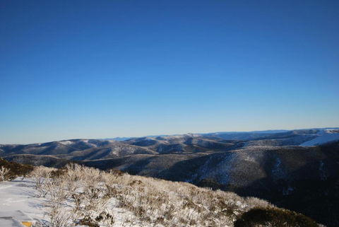 Alpine Heights 28 - Accommodation Coffs Harbour 1