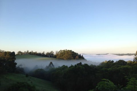 The Spotted Chook - Accommodation Coffs Harbour 0