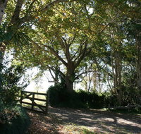 Maleny Mountain Retreat - Accommodation Coffs Harbour