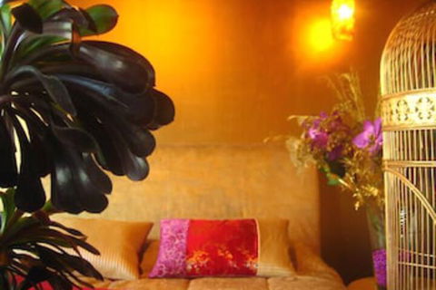 Acquus Zinga - Accommodation Coffs Harbour 6
