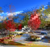 Beechworth Lake Sambell Caravan Park - Accommodation Coffs Harbour