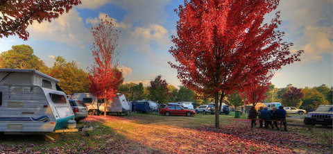 Beechworth Lake Sambell Caravan Park - Accommodation Coffs Harbour 3