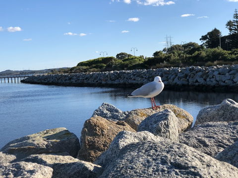 Albany Foreshore Guest House - Accommodation Coffs Harbour 3