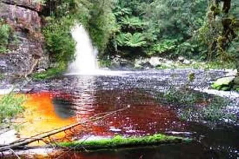 Aldermere Estate - Accommodation Coffs Harbour 3