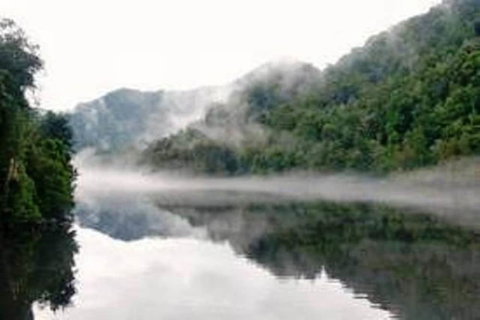 Aldermere Estate - Accommodation Coffs Harbour 1