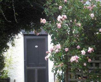 Ivy On Glenelg - Accommodation Coffs Harbour 0