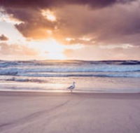 Blue Waters Motel - Accommodation Coffs Harbour
