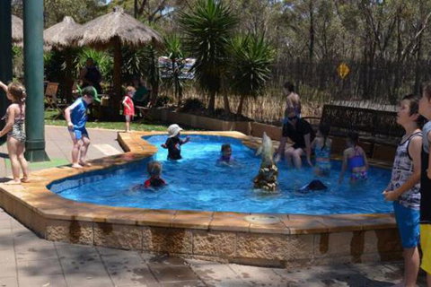 Bendigo Bush Cabins - Accommodation Coffs Harbour 2