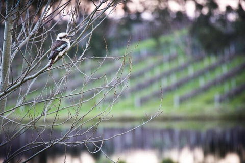 Bettenays Margaret River - Accommodation Coffs Harbour 4