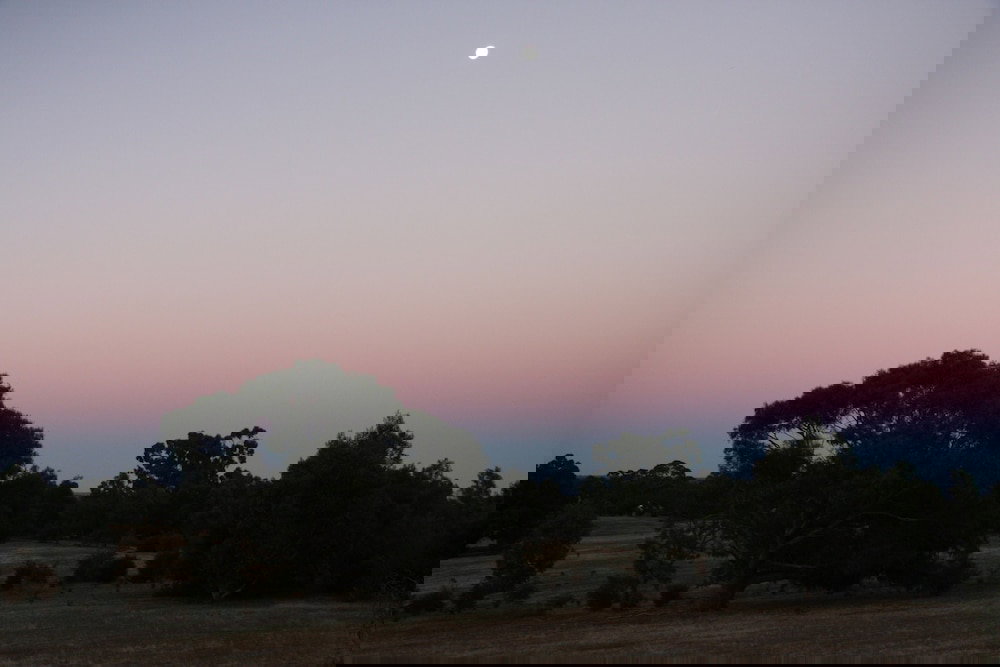 Pomonal VIC Accommodation Coffs Harbour