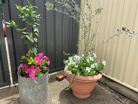 Bendigo Backpackers - Accommodation Coffs Harbour 2