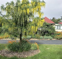 Hamlet Downs Country Accommodation - Accommodation Coffs Harbour