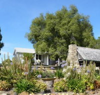 Sassafras Springs - Accommodation Coffs Harbour