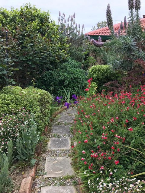Admurraya House Bed & Breakfast - Accommodation Coffs Harbour 4