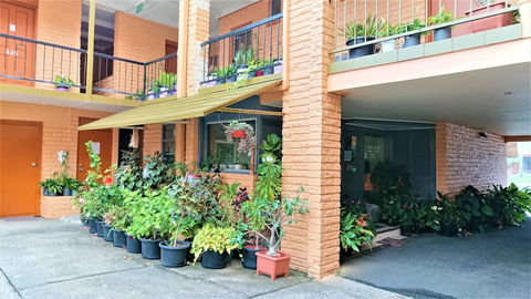 New Olympic Motel - Accommodation Coffs Harbour 2