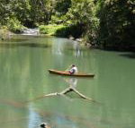 Figtree Getaway - Accommodation Coffs Harbour