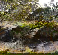 Green Gully House - Accommodation Coffs Harbour