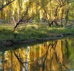 On The Banks - Accommodation Coffs Harbour