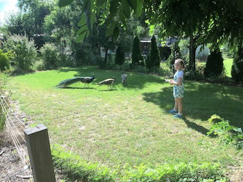 Eukey QLD Accommodation Coffs Harbour