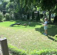 Windswept Country Retreat - Accommodation Coffs Harbour