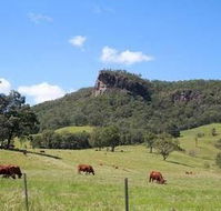 Rosevale House - Accommodation Coffs Harbour