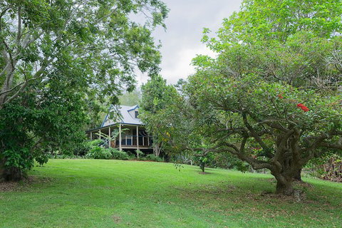 Jacaranda Cottages - Accommodation Coffs Harbour 1