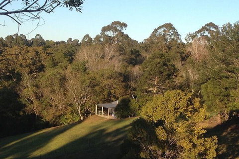 Jacaranda Cottages - Accommodation Coffs Harbour 3