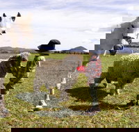 Taras Richmond Farmstay - Accommodation Coffs Harbour