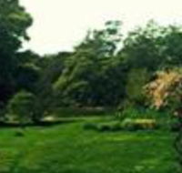 Birdwing Bed  Breakfast Weegena - Accommodation Coffs Harbour